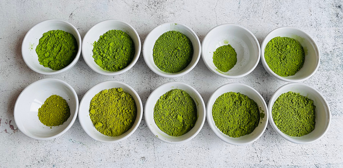 Matcha buying guide: the difference is in the grade!